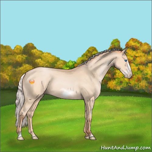 Horse Color:Silver Buckskin Pearl Sabino Frame 