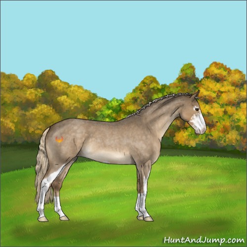 Horse Color:Chocolate Palomino Roan Sabino 