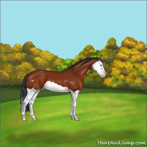Horse Color:Brown Splash 