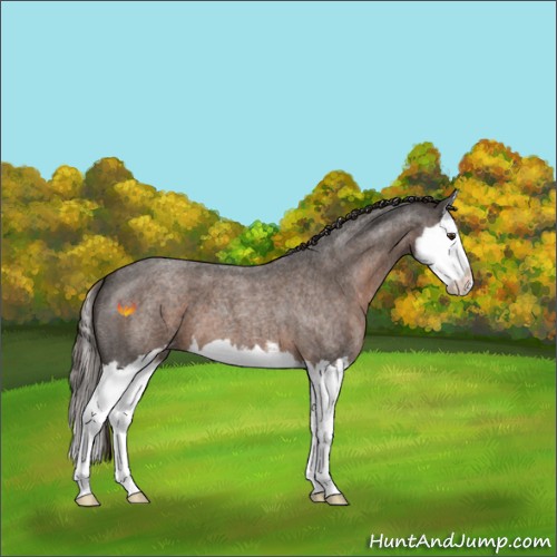 Horse Color:Liver Red Roan Sabino Splash 