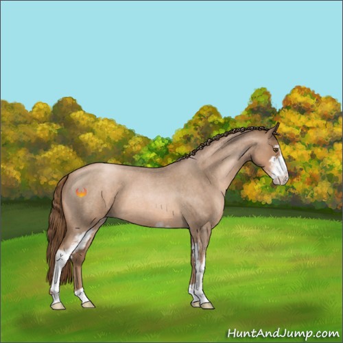 Horse Color:Liver Red Roan Pearl Sabino 