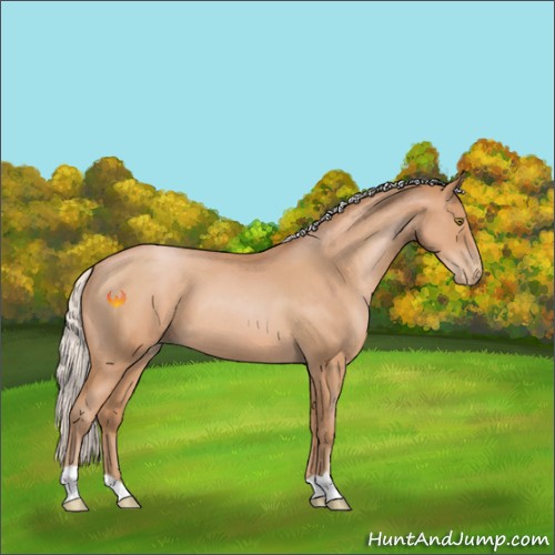 Horse Color:Silver Brown Roan Pearl 
