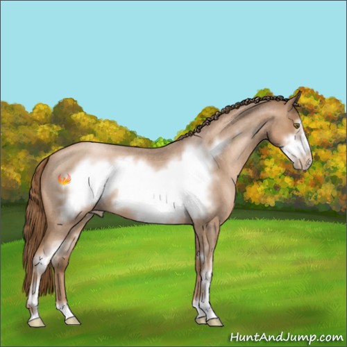 Horse Color:Liver Red Roan Pearl Sabino Frame 