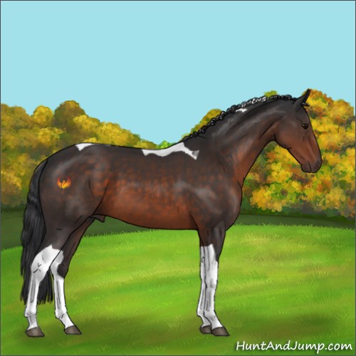Horse Color:Brown Tobiano 