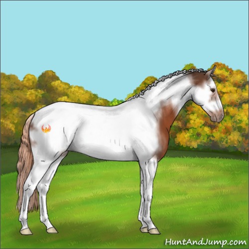 Horse Color:Liver Chestnut Sabino Splash Tobiano Frame 