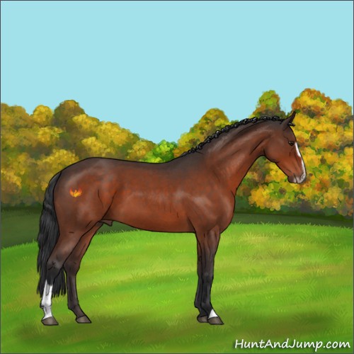 Horse Color:Brown Roan Sabino 
