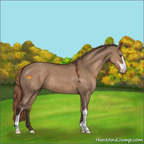 Horse Color:Liver Red Dun Sabino 