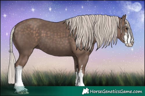 Horse Color:White Spotted Silver Black 