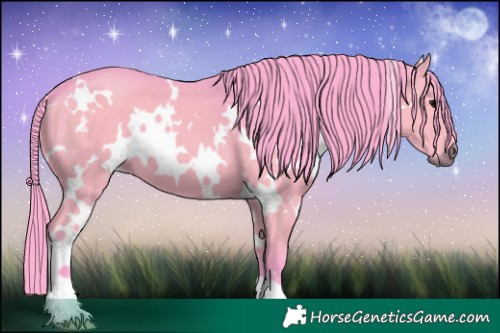 Horse Color:Watercolor White Spotted Black 