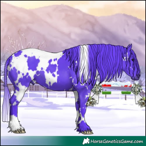 Horse Color:Watercolor White Spotted Black 