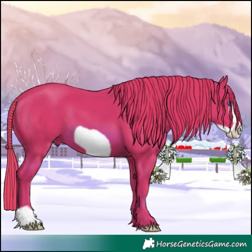 Horse Color:Watercolor Chestnut Frame 