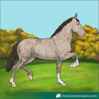 Horse Color:Classic Champagne Dun Brindle 