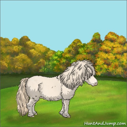 Horse Color:Perlino 