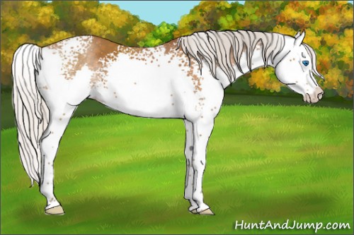 Horse Color:White Spotted Silver Buckskin Splash 