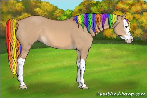 Horse Color:Painted Red Dun Splash 
