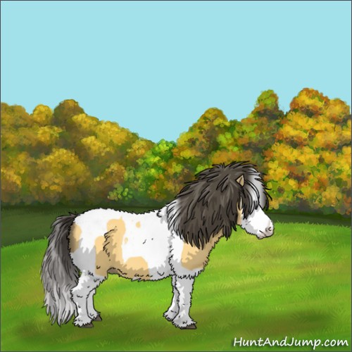 Horse Color:Buckskin Splash Tobiano 