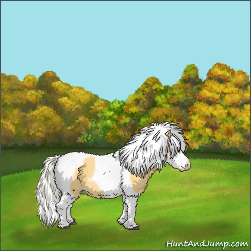 Horse Color:Palomino Splash Tobiano 