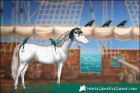 Horse Color:Black Pearl Sabino 