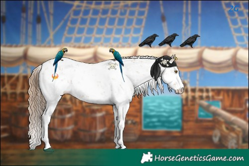 Horse Color:Black Pearl Sabino
