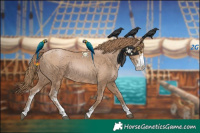 Horse Color:Black Pearl Sabino