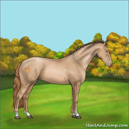 Horse Color:Chestnut Pearl Sabino 