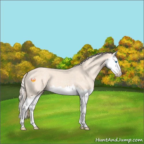 Horse Color:Perlino Splash 