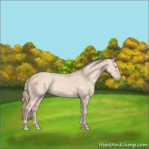 Horse Color:Perlino 