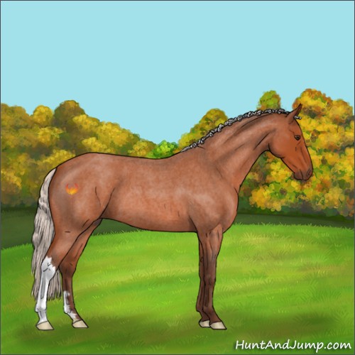 Horse Color:Silver Brown Roan 