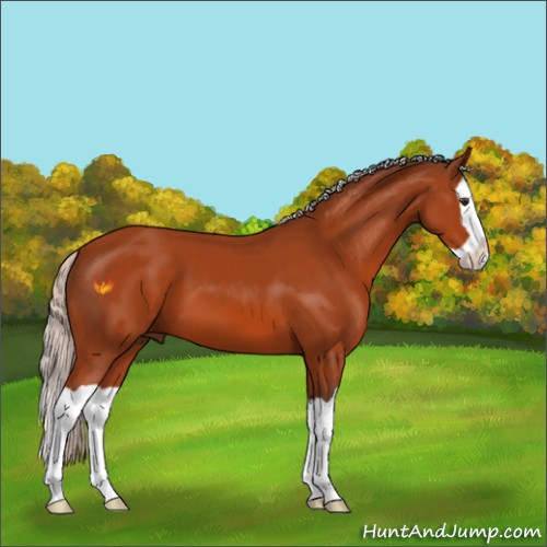 Horse Color:Silver Brown Splash 