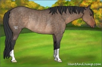 Horse Color:Brown Dun Rabicano 