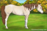 Horse Color:Brown Pearl Dun Sabino 