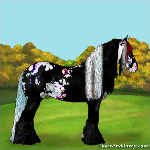 Horse Color:Watercolor Plaid  White Spotted Sable Champagne Ice Onyx Appaloosa 