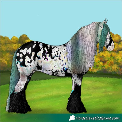 Horse Color:Nacre Plaid  White Spotted Brown Ice Onyx Blanket 