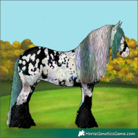 Horse Color:Nacre Plaid White Spotted Brown Ice Onyx Appaloosa
