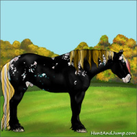 Horse Color:Painted Watercolor Brown Sabino Splash 