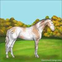 Horse Color:White Spotted Silver Brown Pearl 