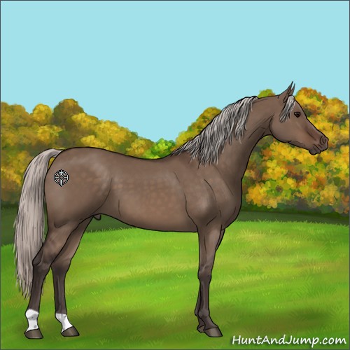 Horse Color:Silver Brown Dun 