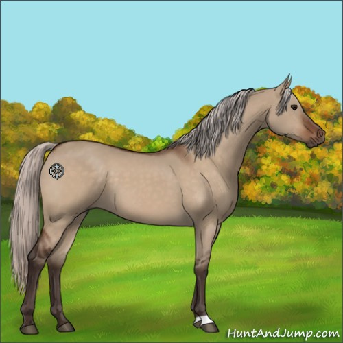 Horse Color:Silver Bay Dun 