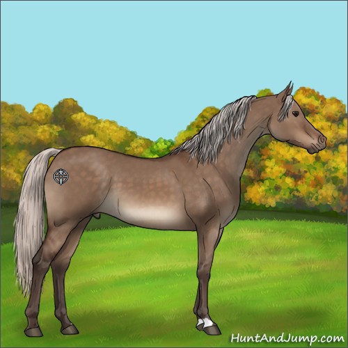 Horse Color:Silver Brown Dun 