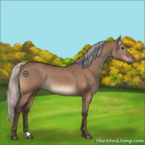 Horse Color:Silver Bay Dun 