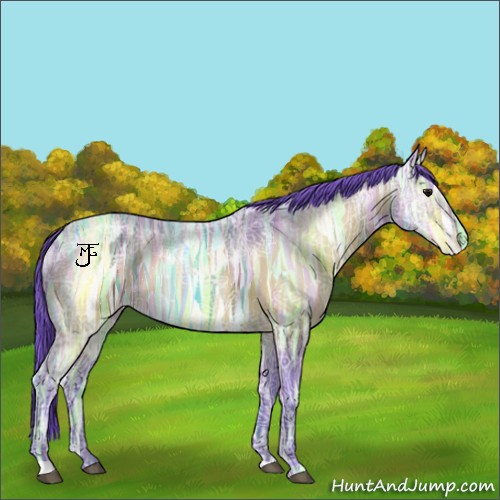 Horse Color:Watercolor Bay Ice 