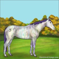 Horse Color:Watercolor Bay Ice