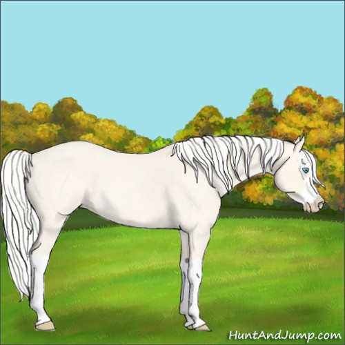 Horse Color:Silver Perlino Roan Dun Splash 