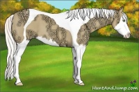 Horse Color:Silver Classic Champagne Ice Dun Splash Tobiano 