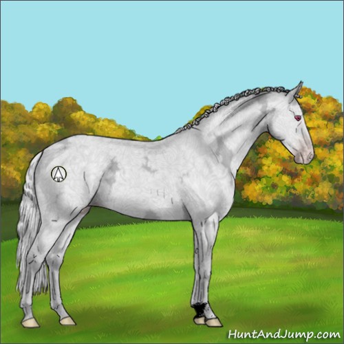 Horse Color:Silver Classic Champagne Chinchilla Ice 