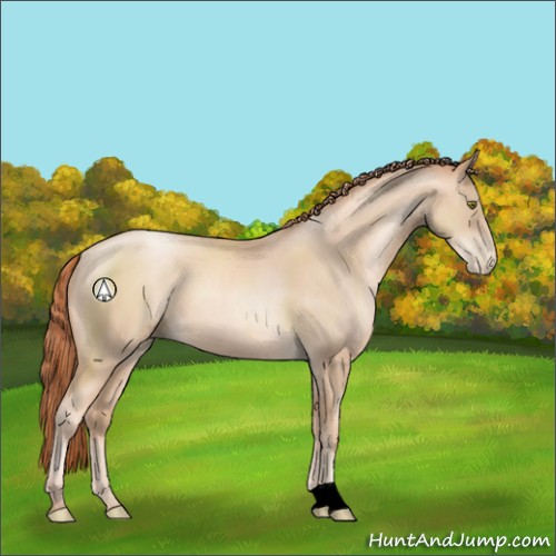 Horse Color:Classic Champagne Pearl 