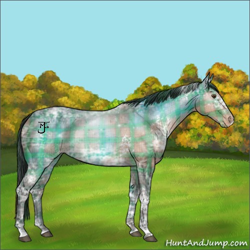 Horse Color:Plaid White Spotted Bay Ice Varnish