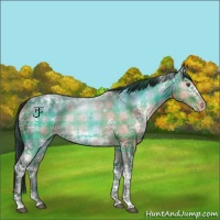 Horse Color:Plaid  White Spotted Bay Ice Varnish 