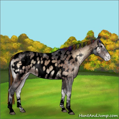 Horse Color:Void Painted Brown Ice Onyx Tobiano Appaloosa 