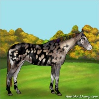 Horse Color:Void Painted Brown Ice Onyx Tobiano Appaloosa 